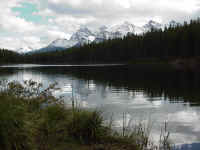 alb03t.jpg (77285 bytes)