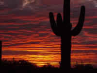 az08t.jpg (50935 bytes)