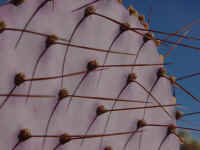 az13t.jpg (48868 bytes)