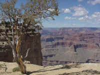 az19t.jpg (95922 bytes)