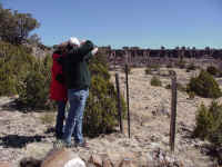 az21.jpg (285565 bytes)