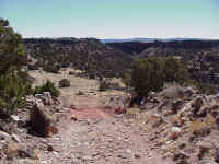 az22.jpg (283373 bytes)