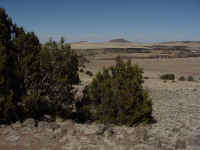 az23.jpg (230013 bytes)