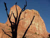 azsed16t.jpg (79127 bytes)