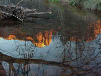 azsed20t.jpg (94933 bytes)