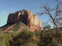 azsed22t.jpg (110582 bytes)