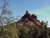 azsed25t.jpg (96734 bytes)