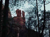 azsed27t.jpg (118669 bytes)