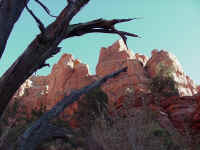 azsed30t.jpg (80551 bytes)