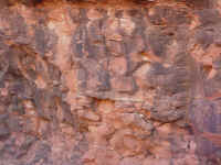 azsed35t.jpg (95636 bytes)