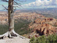 bryce01t.jpg (128923 bytes)