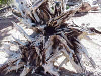 bryce07t.jpg (142606 bytes)