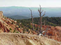 bryce08t.jpg (106340 bytes)