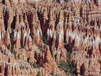 bryce18t.jpg (150073 bytes)