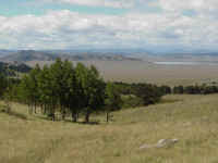 co01t.jpg (68876 bytes)