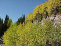 co12t.jpg (142516 bytes)