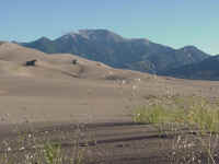 cosand05t.jpg (58534 bytes)