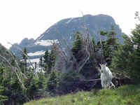 glacp18t.jpg (101895 bytes)