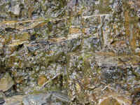 glacpb13t.jpg (145384 bytes)