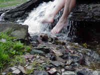 glacpb18.jpg (305316 bytes)