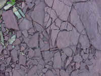 glacpb23t.jpg (83155 bytes)