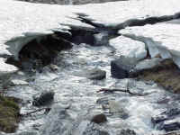 glacpb29t.jpg (109461 bytes)