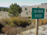 id02t.jpg (116816 bytes)