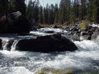 idrf02t.jpg (120408 bytes)