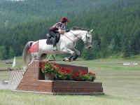 mt01t.jpg (85529 bytes)