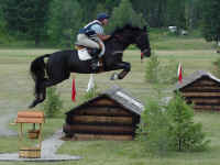 mt04t.jpg (85122 bytes)