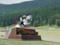 mt05t.jpg (81133 bytes)