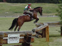 mt06t.jpg (83939 bytes)