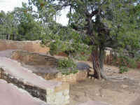 mverda24t.jpg (122590 bytes)