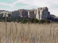 nm02t.jpg (107824 bytes)