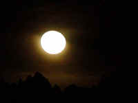 nm04t.jpg (46290 bytes)