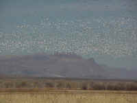 nm07t.jpg (73334 bytes)