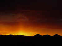 nm11t.jpg (24100 bytes)