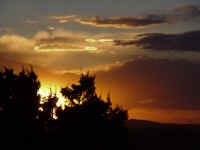 nm14t.jpg (37500 bytes)