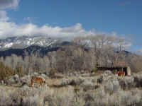 nm23t.jpg (85822 bytes)