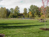 or08t.jpg (113227 bytes)