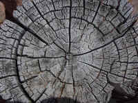 ppeak22t.jpg (145370 bytes)