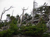 rockm11t.jpg (96485 bytes)