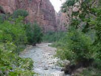 zion01t.jpg (119101 bytes)